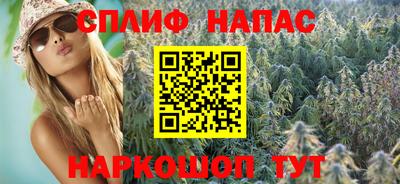 ECSTASY Обь
